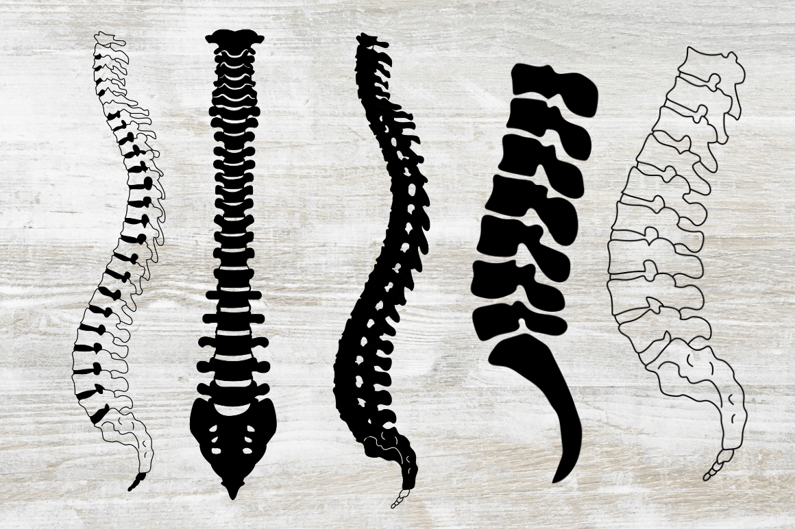 Human Bone SVG Bundle