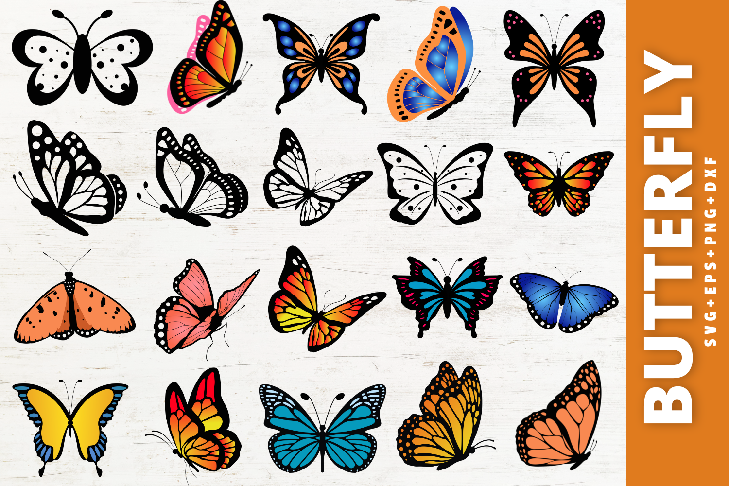 Butterfly SVG Bundle