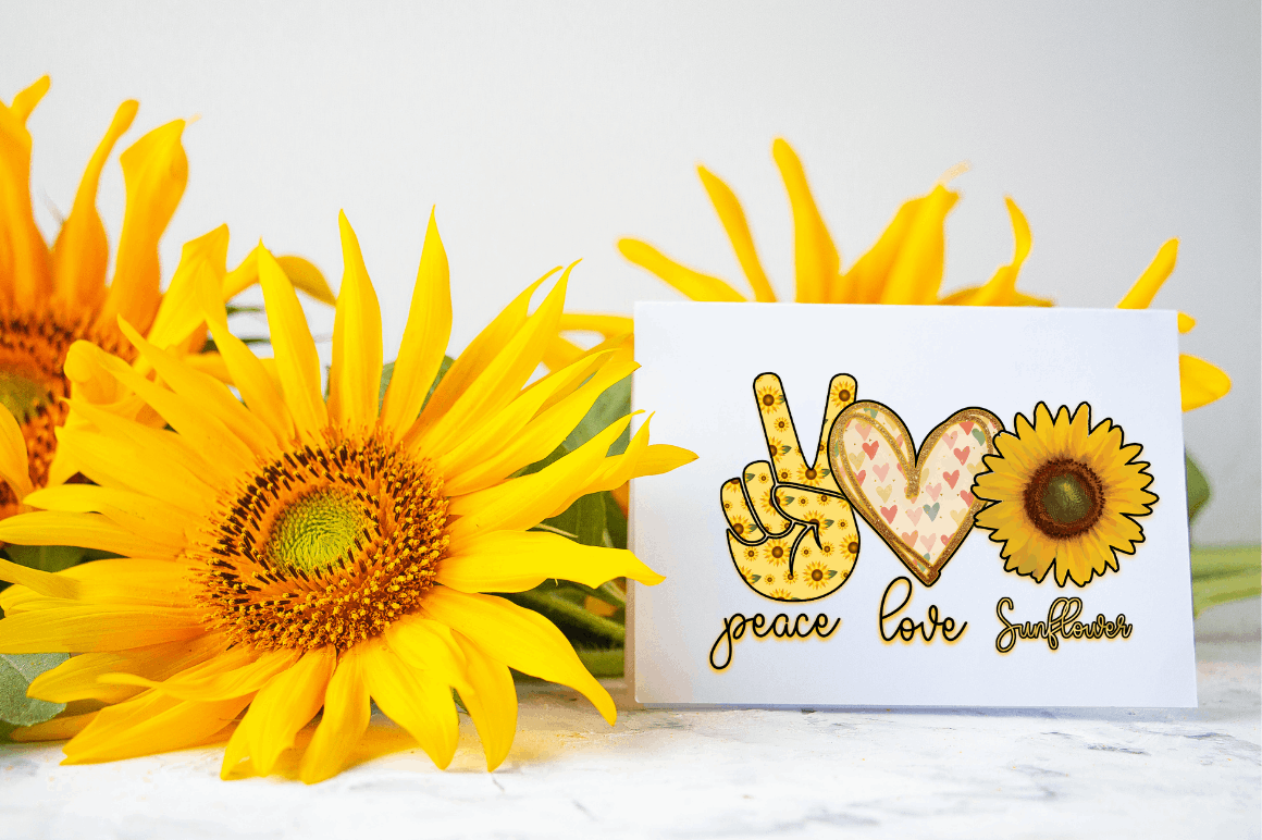 Sunflower Sublimation Bundles